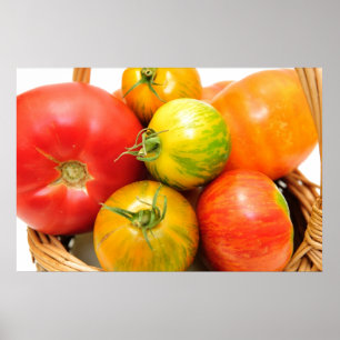 Pôster Tomates coloridos da herança