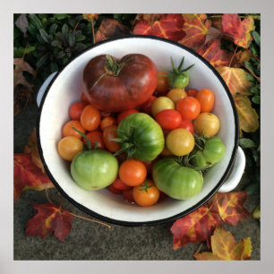 Pôster Tomates da herança