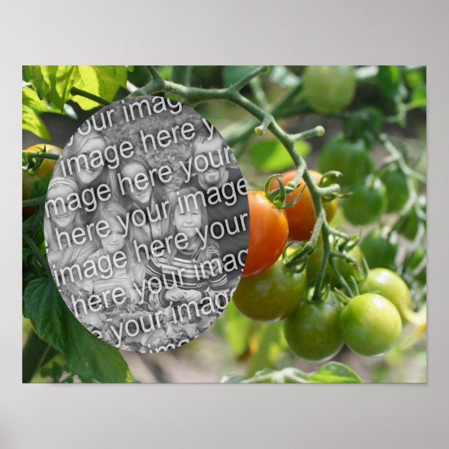 Poster Tomates de cereja de jardim adicione sua foto (Frente)