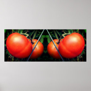Poster Tomates De Jardim Vermelho Na Abstrato De Espelho