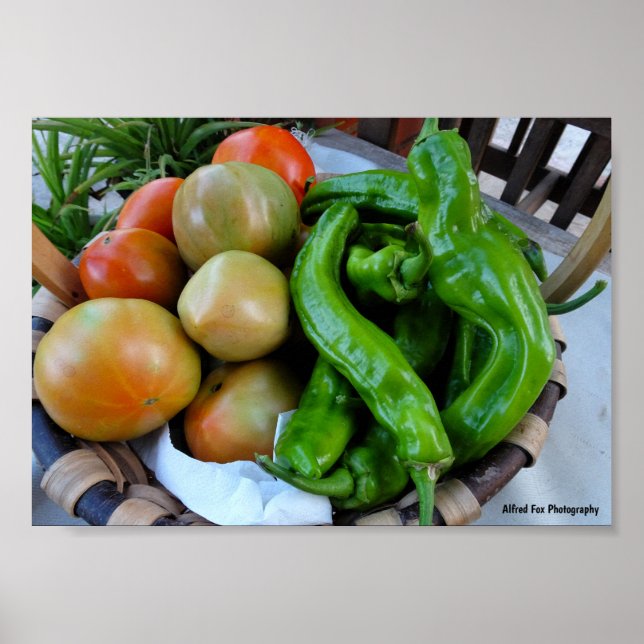 Poster Tomates e Pimentões Verdes em Cesta (Frente)