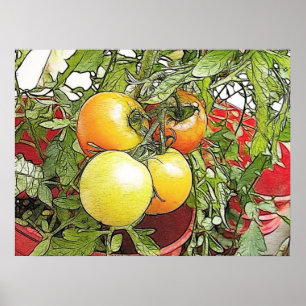 Pôster Tomates frescos da herança do jardim