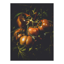 Tomates Rústicos Temperamentais Cozinha de Fazenda