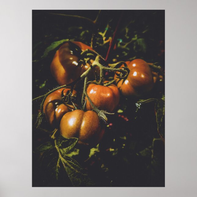 Poster Tomates Rústicos Temperamentais Cozinha de Fazenda (Frente)