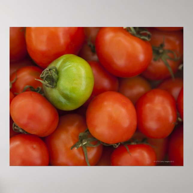 Pôster Tomates vermelhos com sinal de venda (Frente)