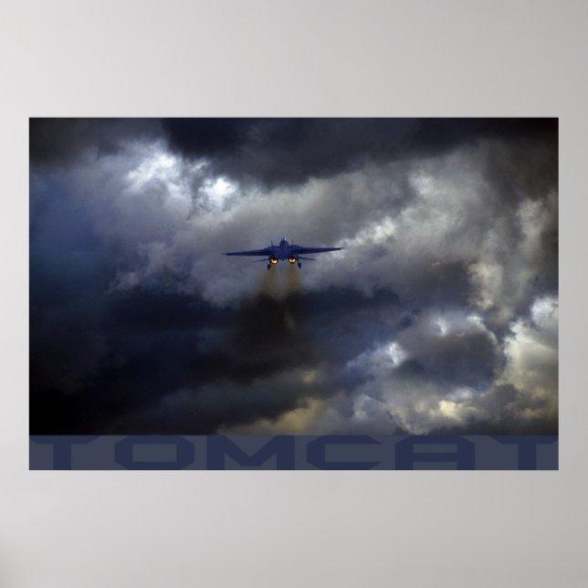 Poster Tomcat (Frente)