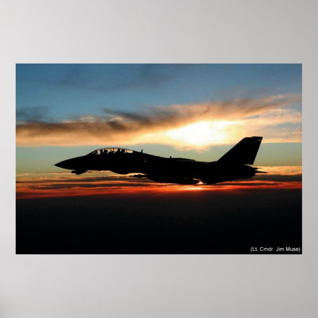 POSTER TOMCATER (Frente)