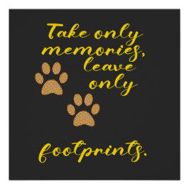 Pôster Tome apenas memórias, deixe apenas pegadas.