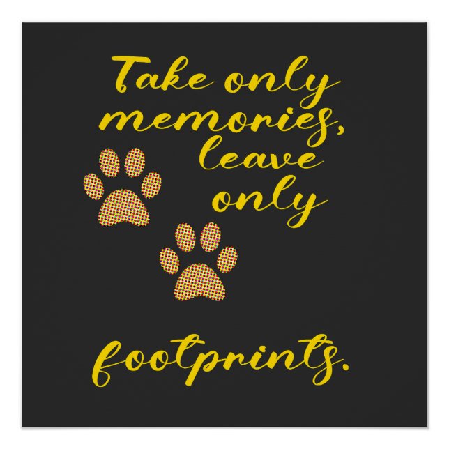 Pôster Tome apenas memórias, deixe apenas pegadas. (Frente)