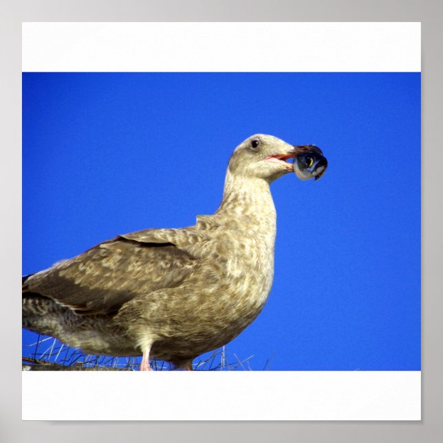 Pôster Tome um pouco (Frente)