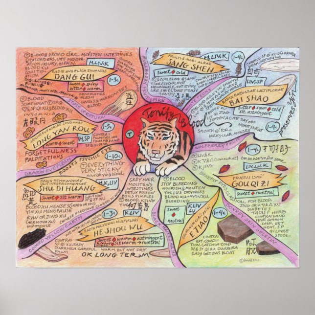 Pôster Tonify Sangue (Frente)