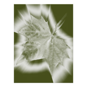 Pôster tons de verde