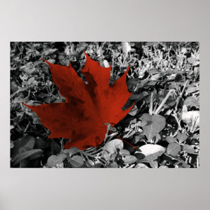 Poster tons do outono