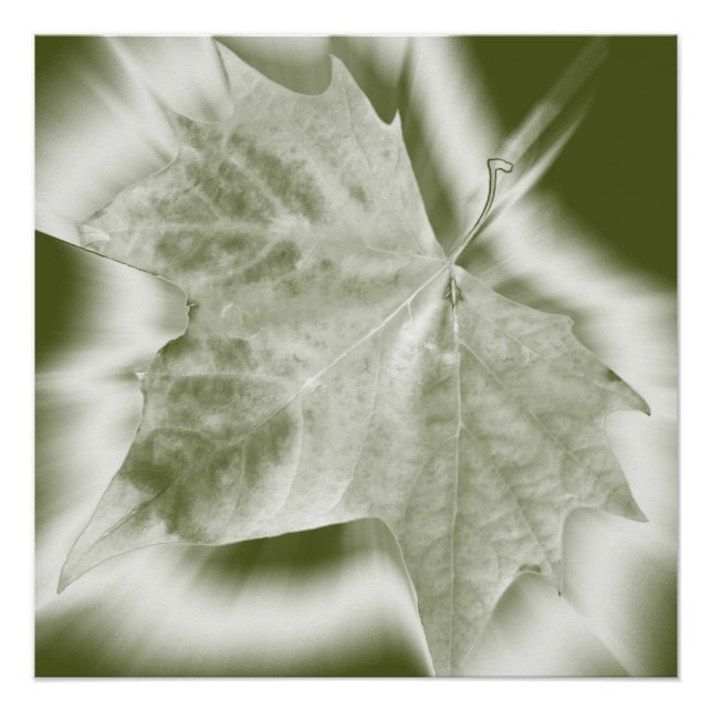 Pôster tons verdes (Frente)