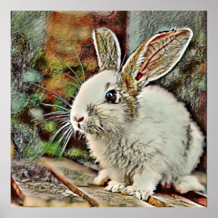 Poster toony bunny