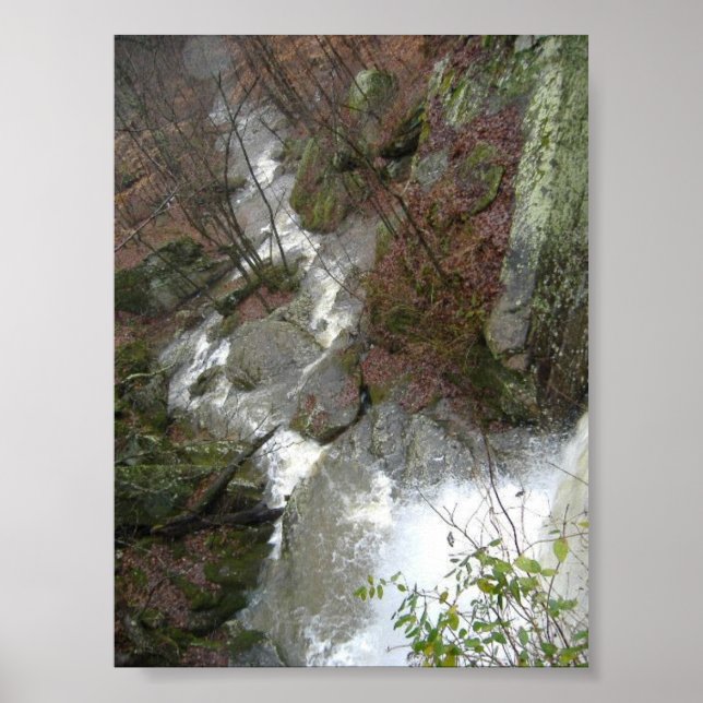 Pôster Top of the Falls (Frente)