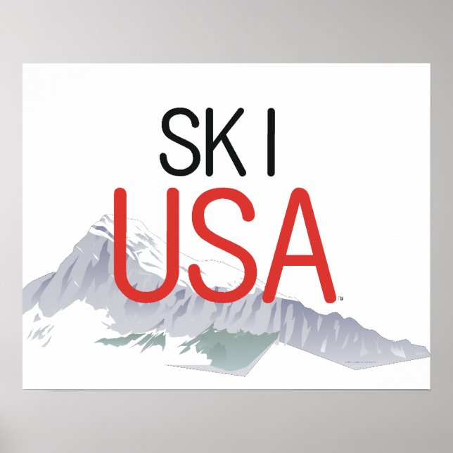 Pôster TOP Ski USA (Frente)