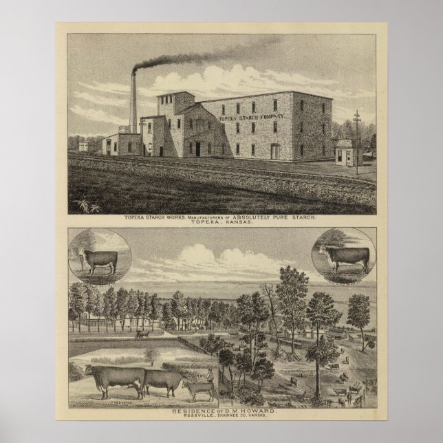 Poster Topeka Starch Workand Residence of DM Howard (Frente)