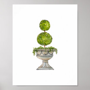 Poster Topiário de madeira de boxwood em urna antiga