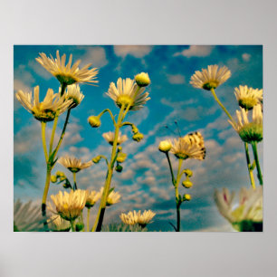 Poster Toque da poeira mágica