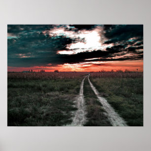 Pôster Toque da poeira mágica da onça