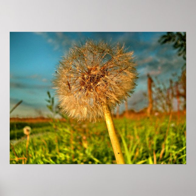 Pôster Toque de poeira mágica (Frente)