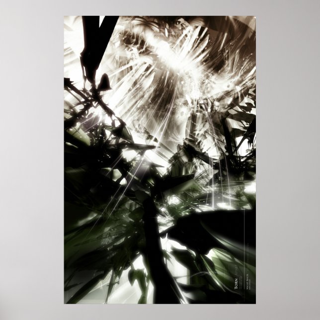 Pôster Torn (Frente)