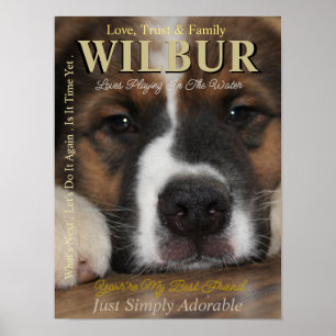 Poster Torne Seu Pet a Estrela que Eles São Cartaz de Rev