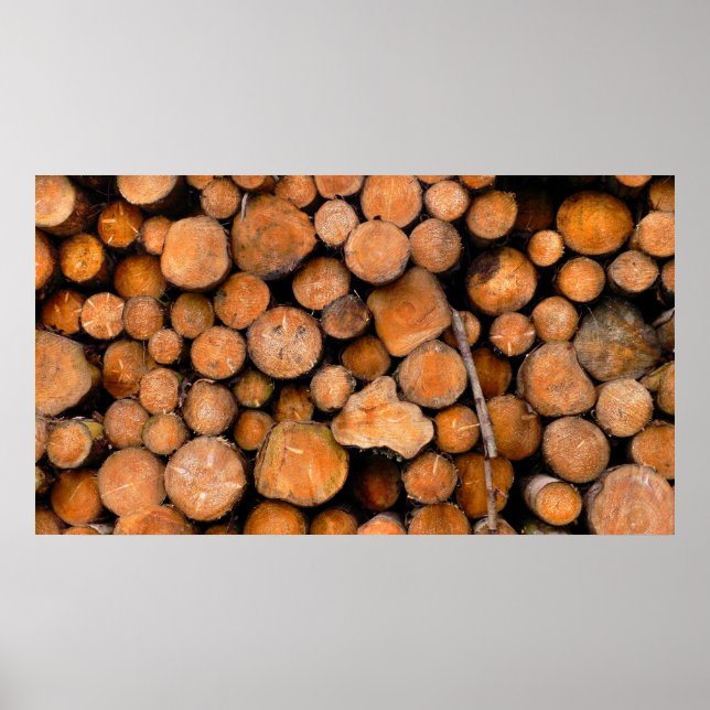 Poster toros de serra (Frente)