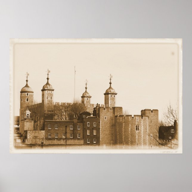 Pôster Torre Branca (Frente)