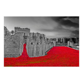 Pôster Torre de London Red Poppies Poppy