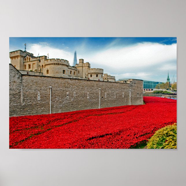 Poster Torre de Londres Poppies Red Poppy (Frente)
