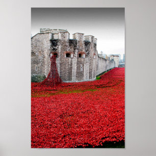 Poster Torre de Londres Poppies Red Poppy
