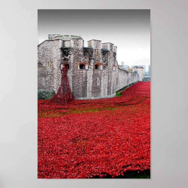 Poster Torre de Londres Poppies Red Poppy (Frente)