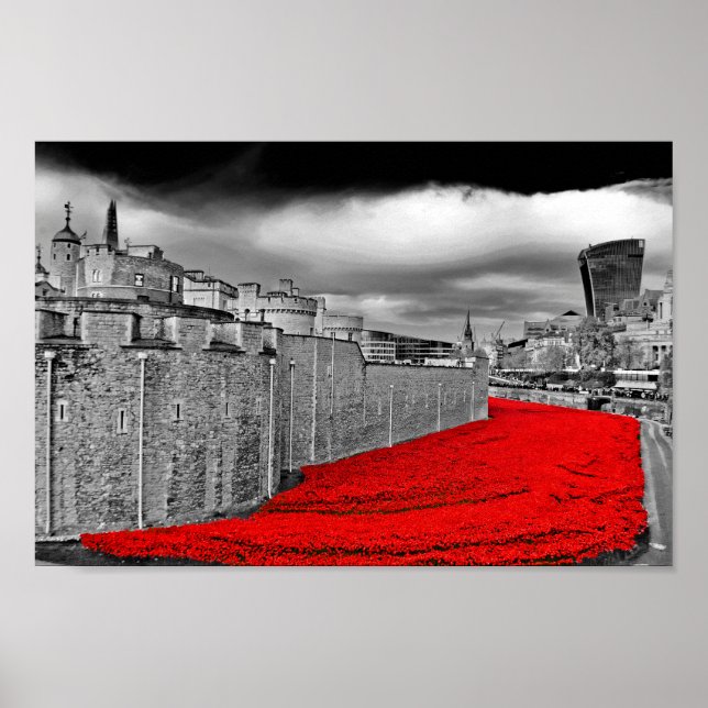 Poster Torre de Londres Poppies Red Poppy (Frente)