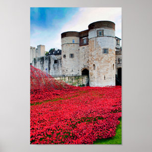 Poster Torre de Londres Red Poppy Poppies