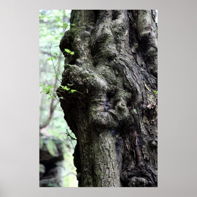 Poster torre de madeira (Frente)