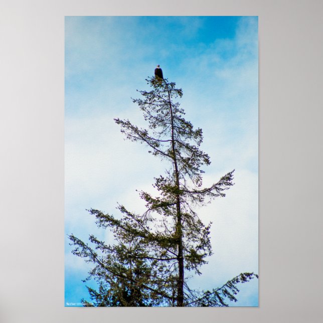 Pôster Torre de monitoração (Frente)