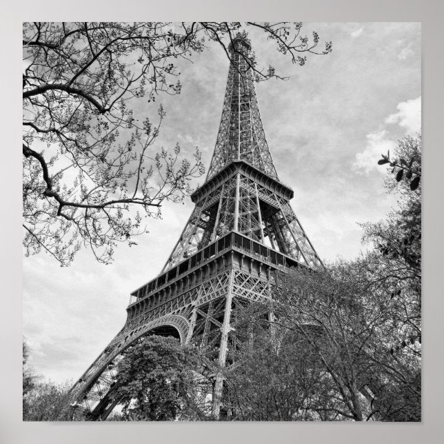 Poster Torre Eiffel Panorama (Frente)