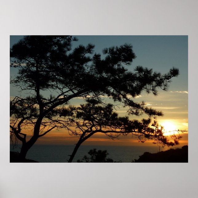 Poster Torrey Pine Sunset I California Landscape (Frente)