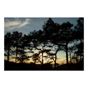 Pôster Torrey Pine Sunset II, área da Califórnia