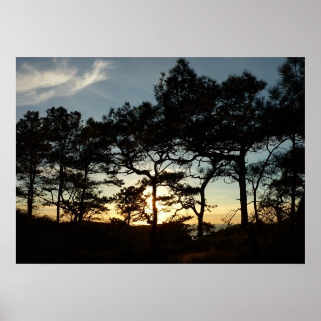 Poster Torrey Pine Sunset II, área da Califórnia (Frente)