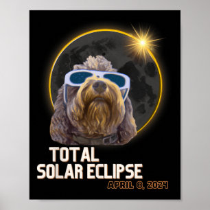 Poster Totalidade Eclipse Solar Goldendoododle com Eclips