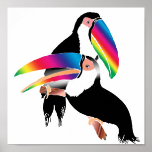 Pôster Tou Toucans