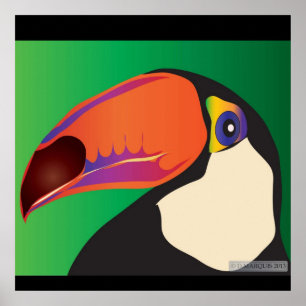 PÔSTER TOUCAN