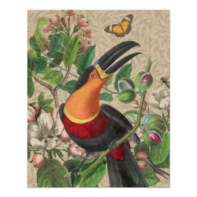 Pôster Toucan Jungle Tropical Bird Beauful Antiguidade (Frente)