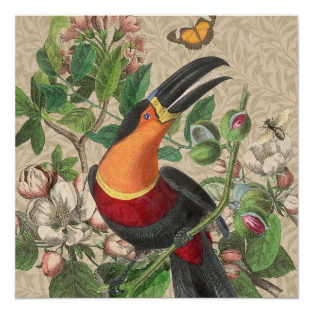 Pôster Toucan Jungle Tropical Bird Beauful Antiguidade (Frente)