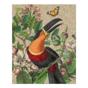 Pôster Toucan Jungle Tropical Bird Belo Antiquado
