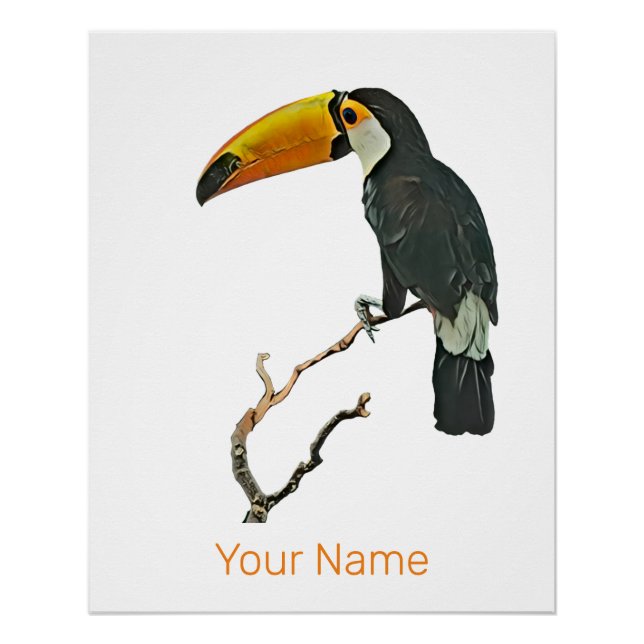 Pôster Toucan Retrait Animal Tropical Bird Design (Frente)