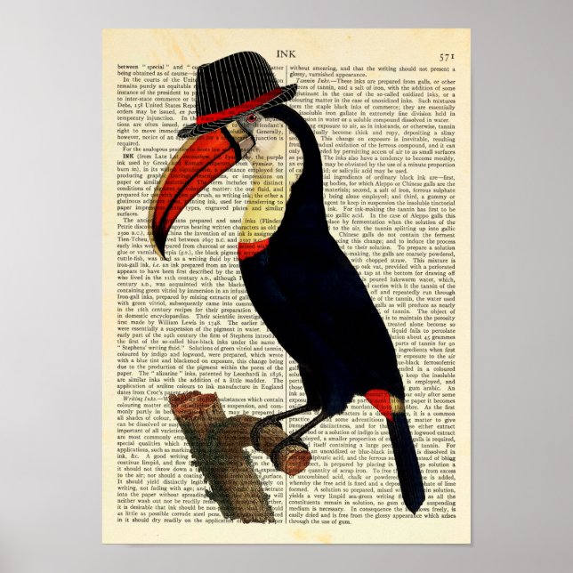 Poster Toucan Vestindo um chapéu, trilby, Ilustração Vint (Frente)